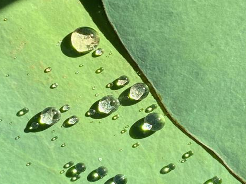 纳米防水涂层的核心防护原理：从分子级仿生到工业级防护的技术革命