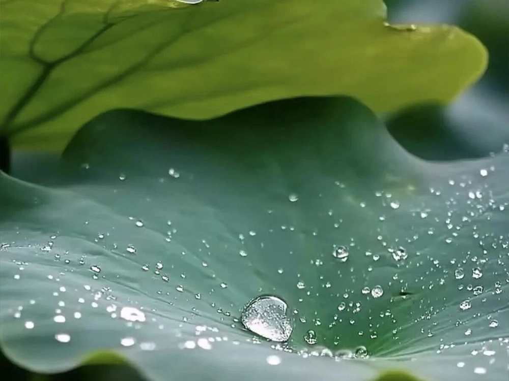 纳米防水涂层与三防漆是同一种产品吗？