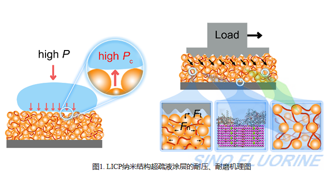 LICP纳米结构超疏液涂层的耐压、耐磨机理图.png